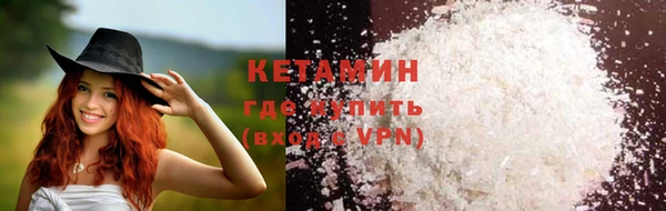 прущие грибы Волоколамск