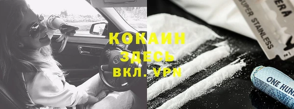 прущие грибы Волоколамск