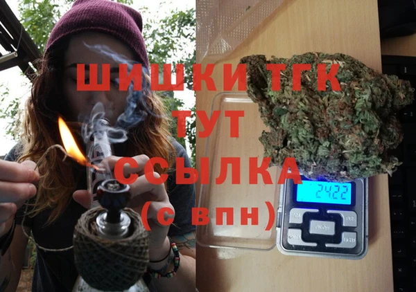 прущие грибы Волоколамск