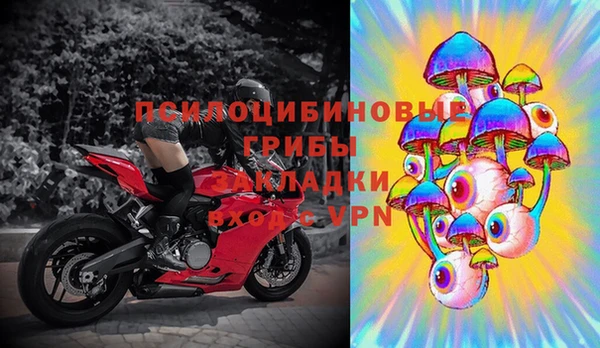 прущие грибы Волоколамск