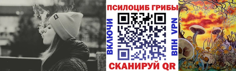 Купить где  Глазов  Псилоцибиновые грибы Magic Shrooms 